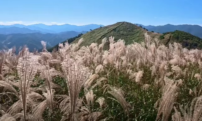 [강원도 여행 추천] 정선 가볼만한곳 베스트10