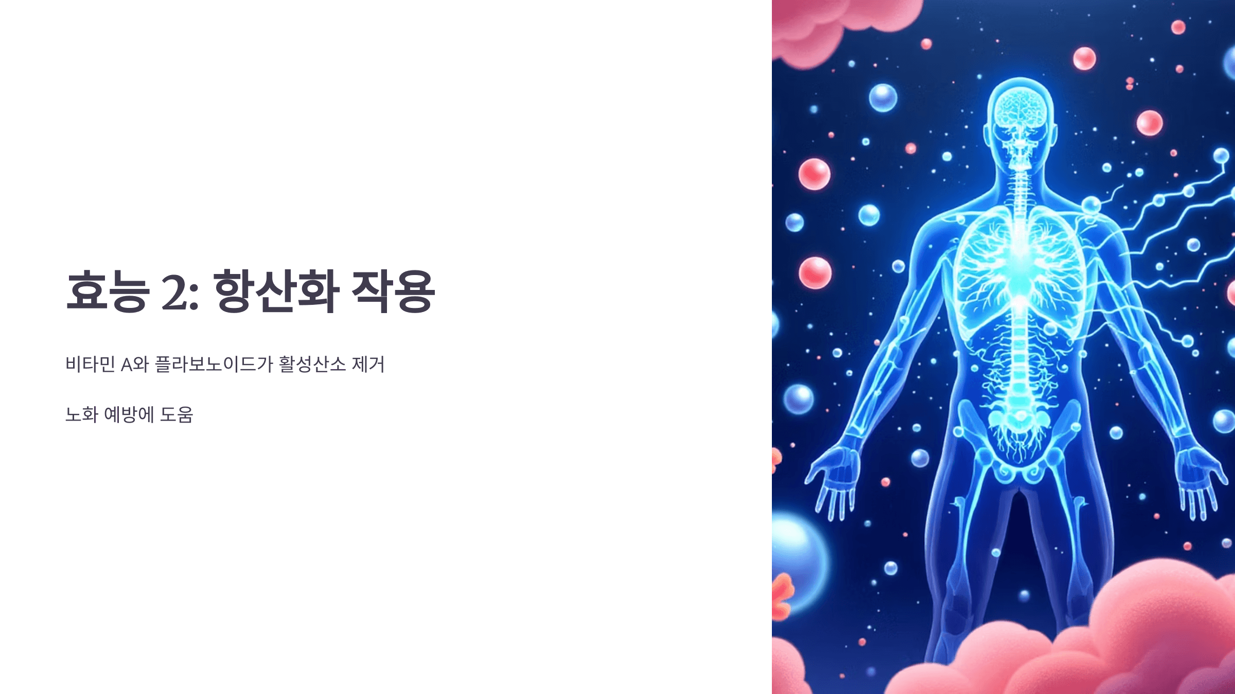 파프리카 사진입니다.