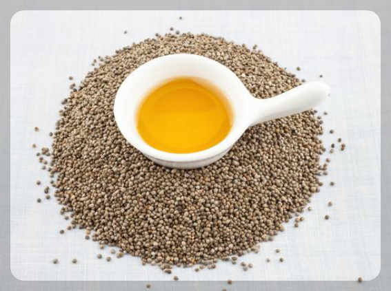 췌장에 좋은 음식