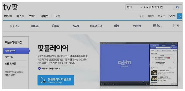 다음팟 플레이어