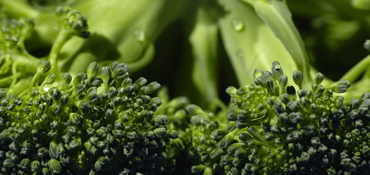 대장에 좋은 음식과 관련된 사진 - 10