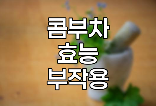 콤부차의 효능과 부작용 상세 분석