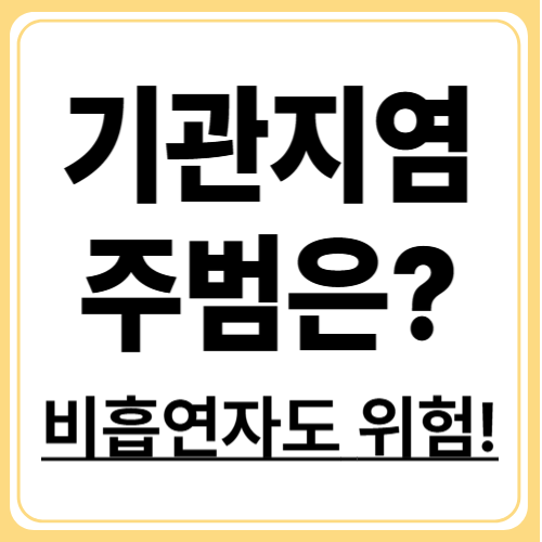 만성기관지염 원인은 무엇일까? 흡연 외에 잘 알려지지 않은 5가지 원인