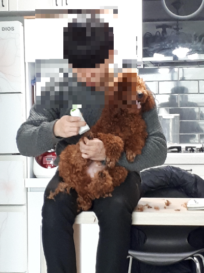강아지 발톱 관리와 발바닥을 깨끗하게 관리하는 방법