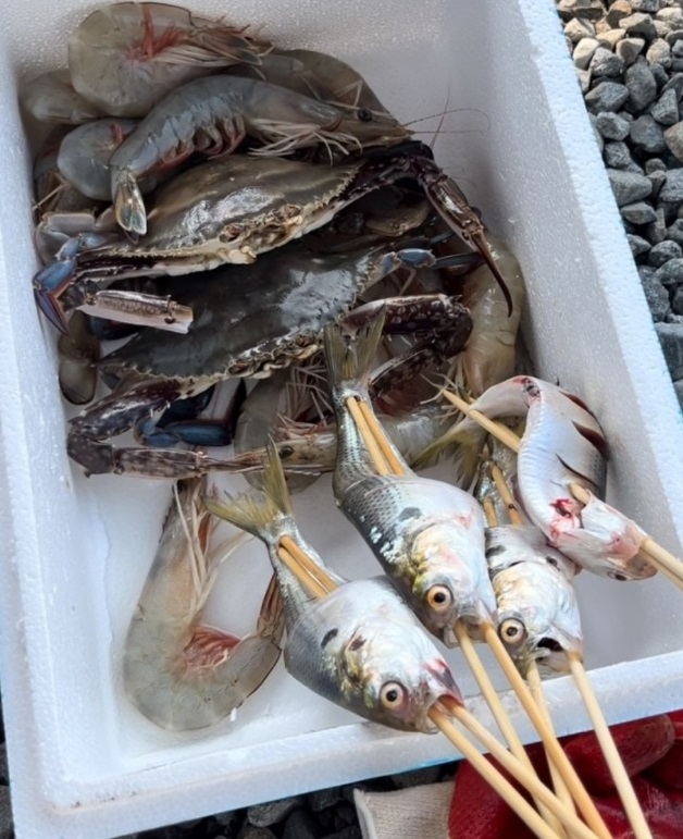 6시내고향-서천-홍원항-전어-꽃게-축제-