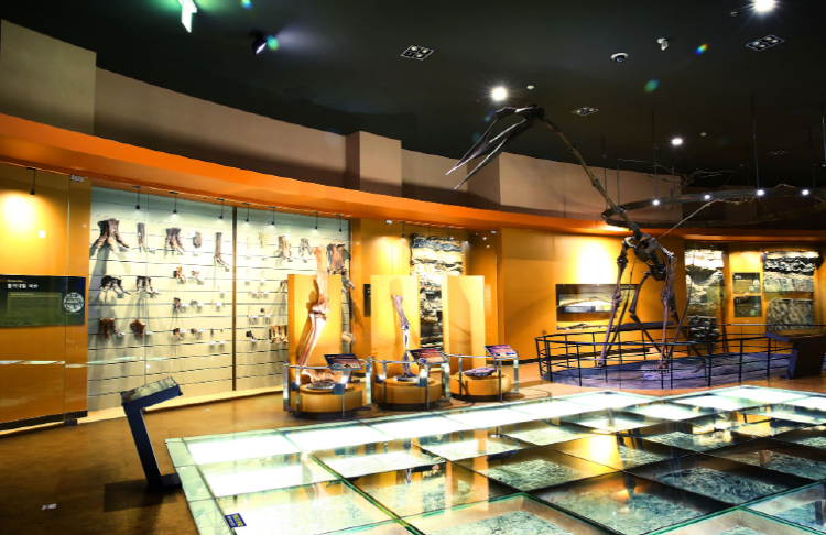 해남 공룡박물관