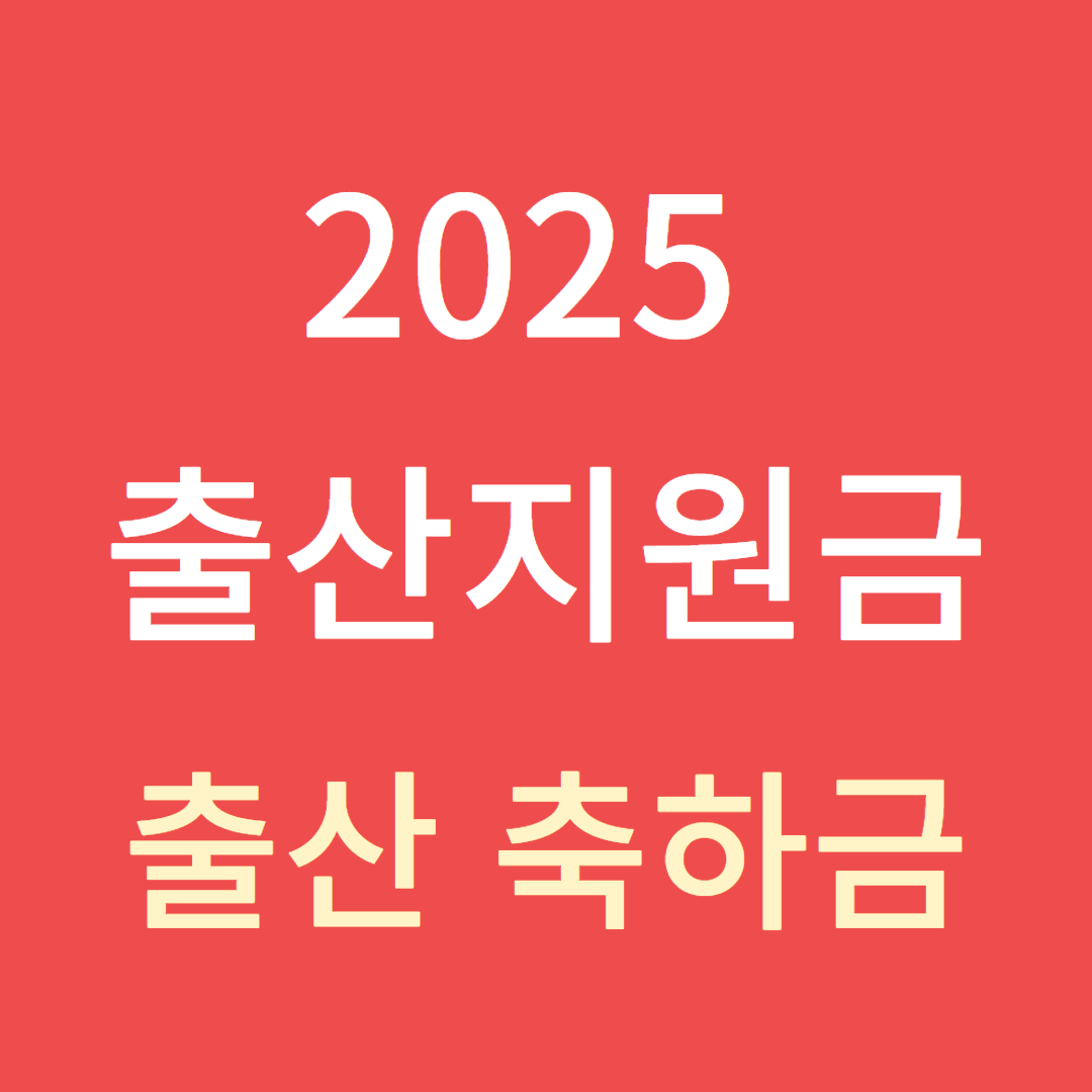 2025 출산지원금 - 출산 축하금
