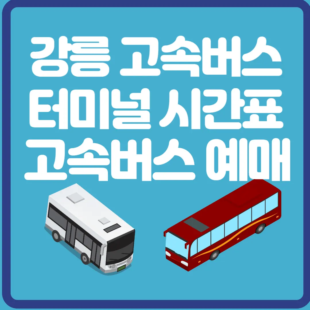 강릉 고속버스 터미널 시간표 고속버스 예매