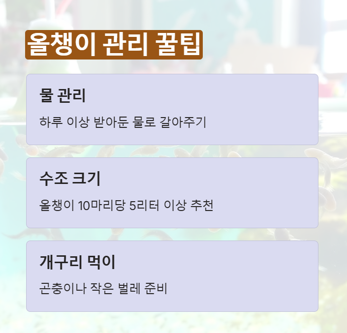 올챙이 관리 팁