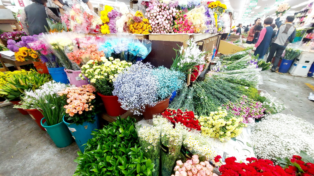 양재꽃시장 생화