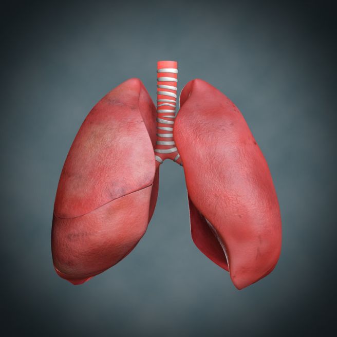 결핵 검사 방법