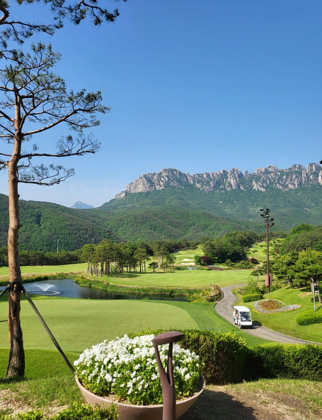 스타트하우스에서 내려다본 델피노CC 코스전경