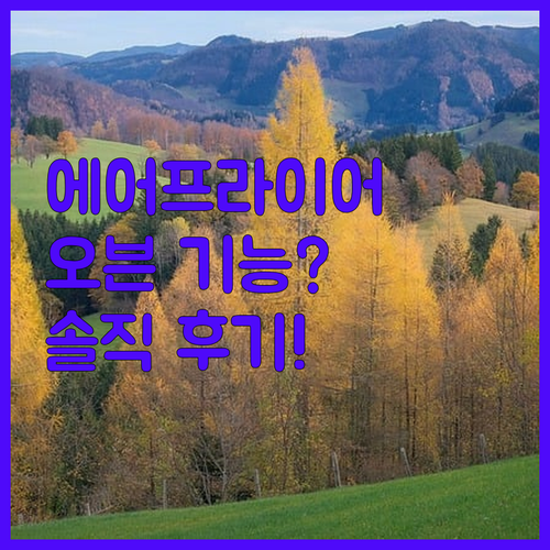 에어프라이어 맞아? 오븐 기능까지? 