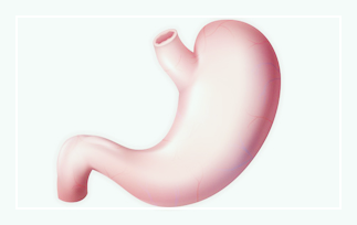 마늘쫑-효능