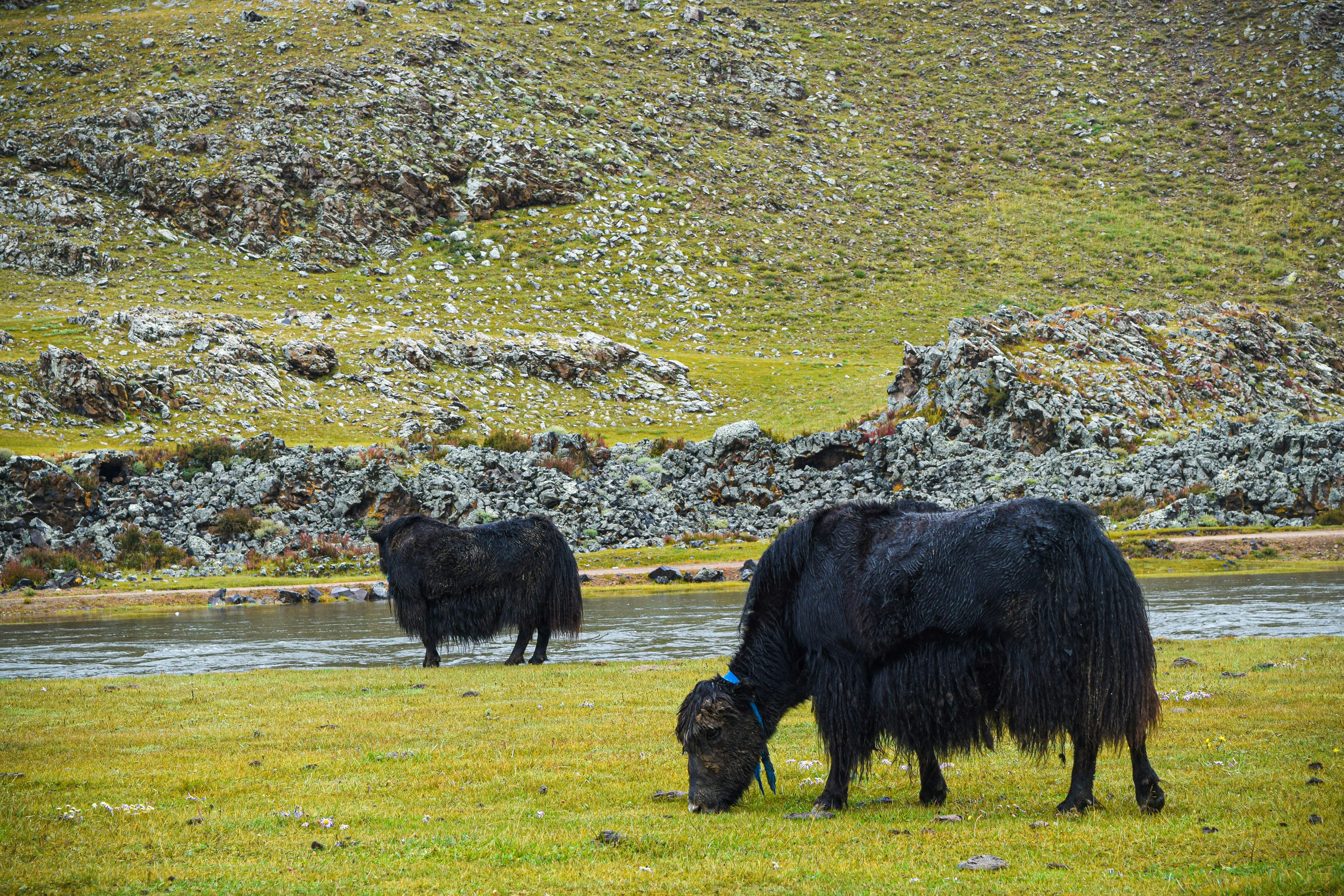 9월 -몽골- 여행- 완벽 -가이드24
