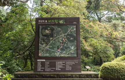 비자림