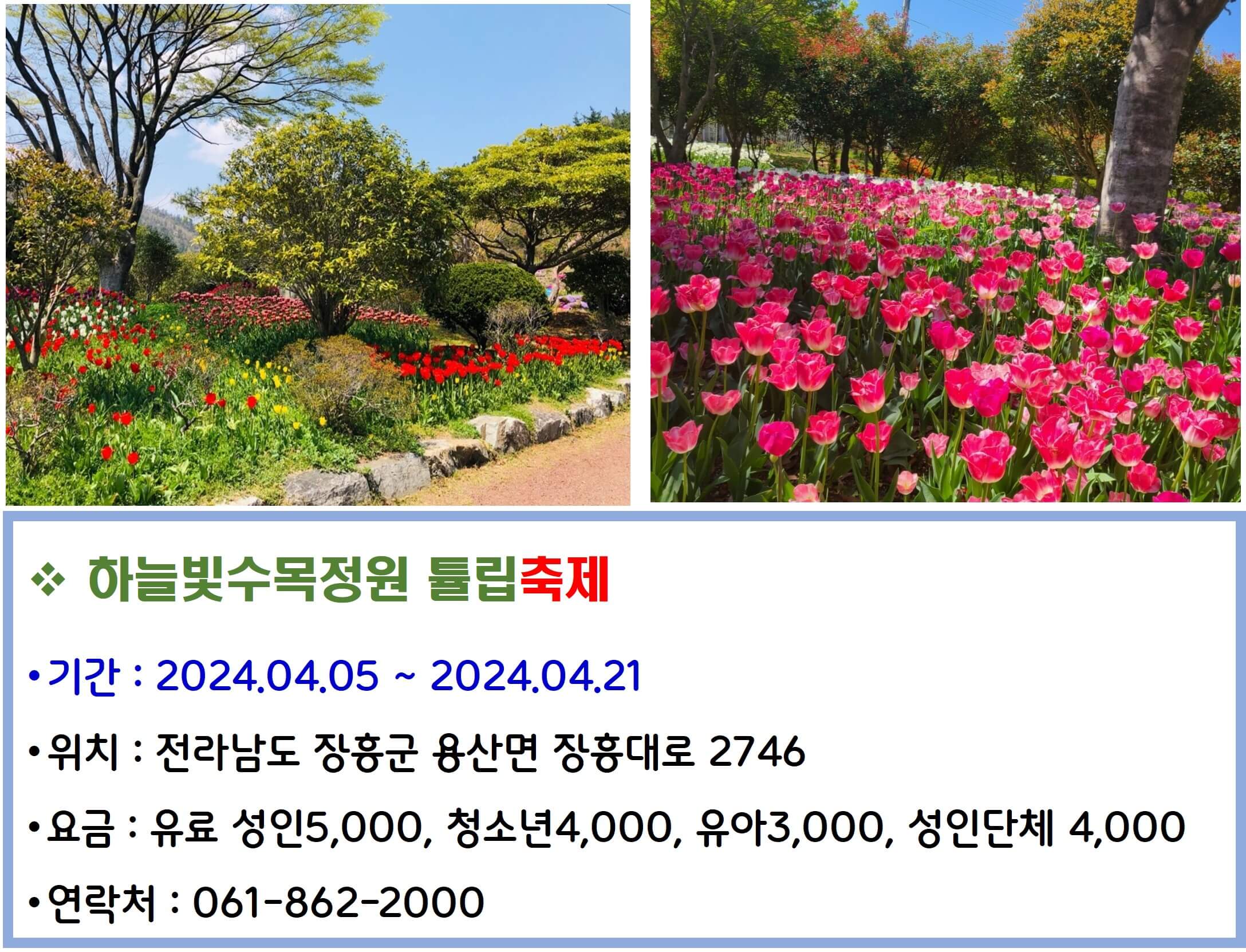 하늘빛수목정원 튤립축제