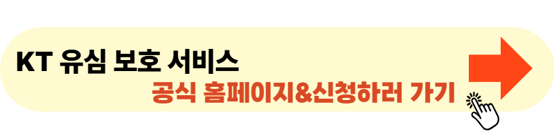 KT 유심 보호 서비스 신청하러 바로가기