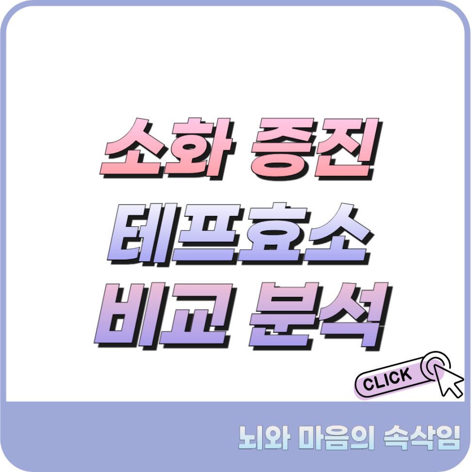 테프효소 추천