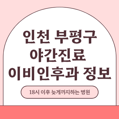 인천 부평구 야간진료 이비인후과 병원 (18시 이후 늦게까지하는 병원)