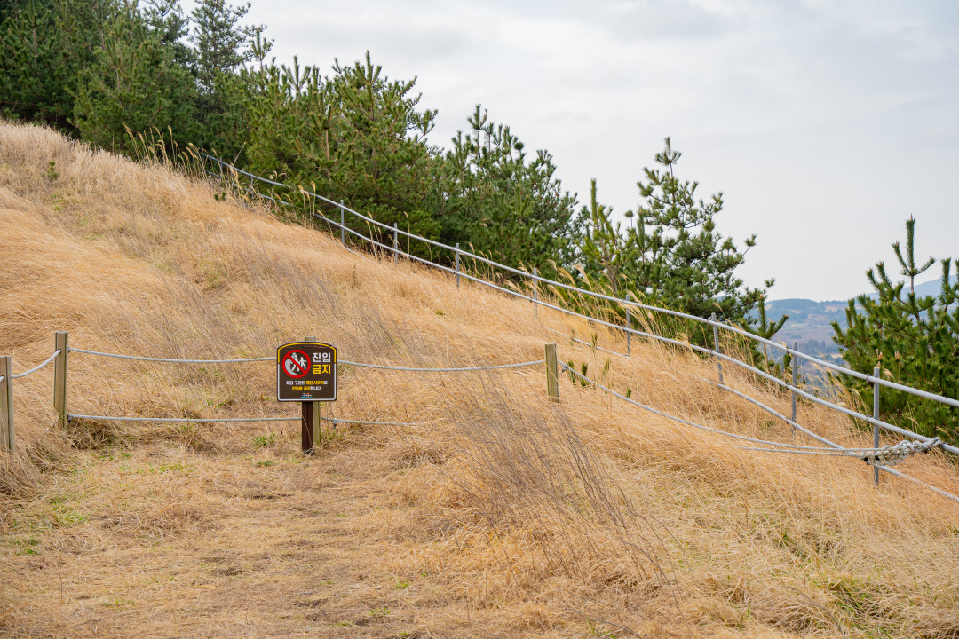 용눈이 오름 정상 둘레길