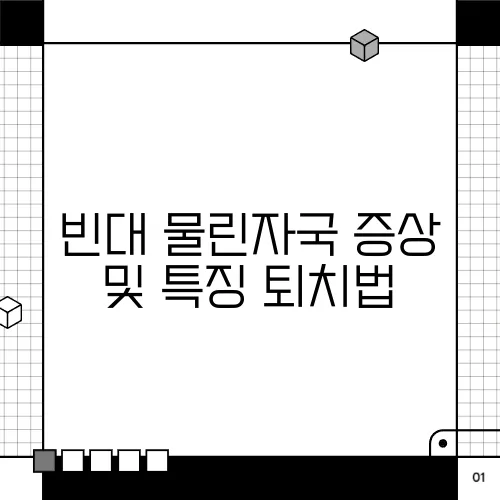 빈대 물린자국 증상 및 특징 퇴치법