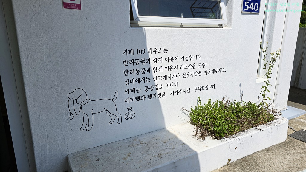 애견카페