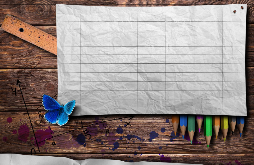 국악과 미술 강사 채용 인원수, 평가, 포트폴리오 차이점