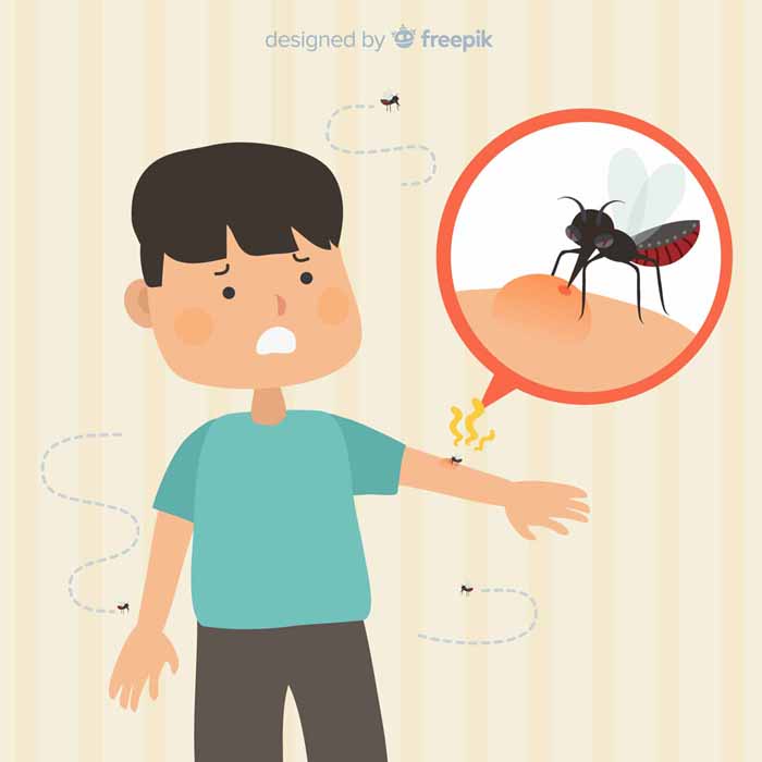 여름철 극성인 모기를 퇴치하는 건강한 친환경 모기 퇴치법