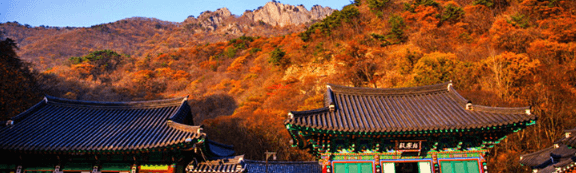 단풍여행 단풍트레킹 당일버스 여행