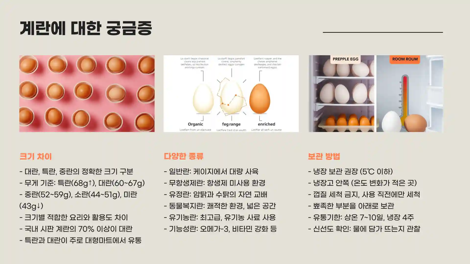 계란 크기 순서 종류 보관법
