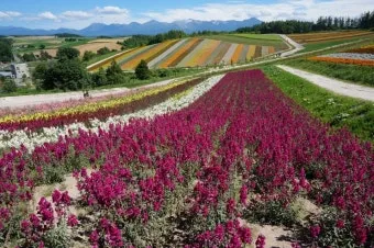 홋카이도 북해도 오타루 자유여행 코스 일정_9