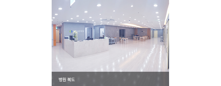 안양 동안구 요양병원