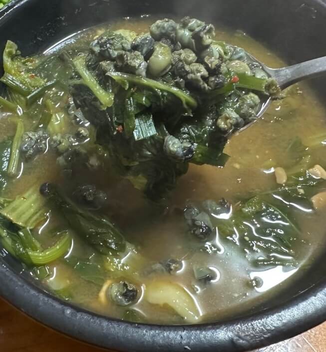 생방송투데이 외국인의 밥상 충북 영동군 황간 다슬기 국밥 맛집 원조동해식당 생방송투데이 3775회