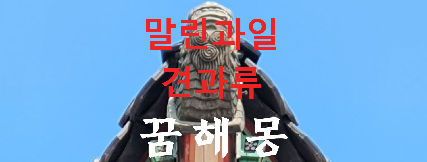 꿈해몽