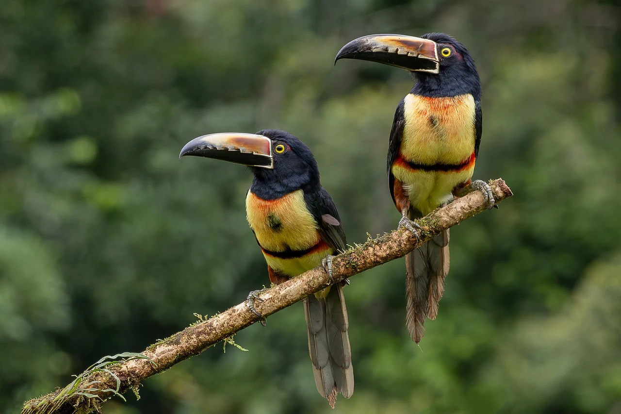 실업급여 자격 조회