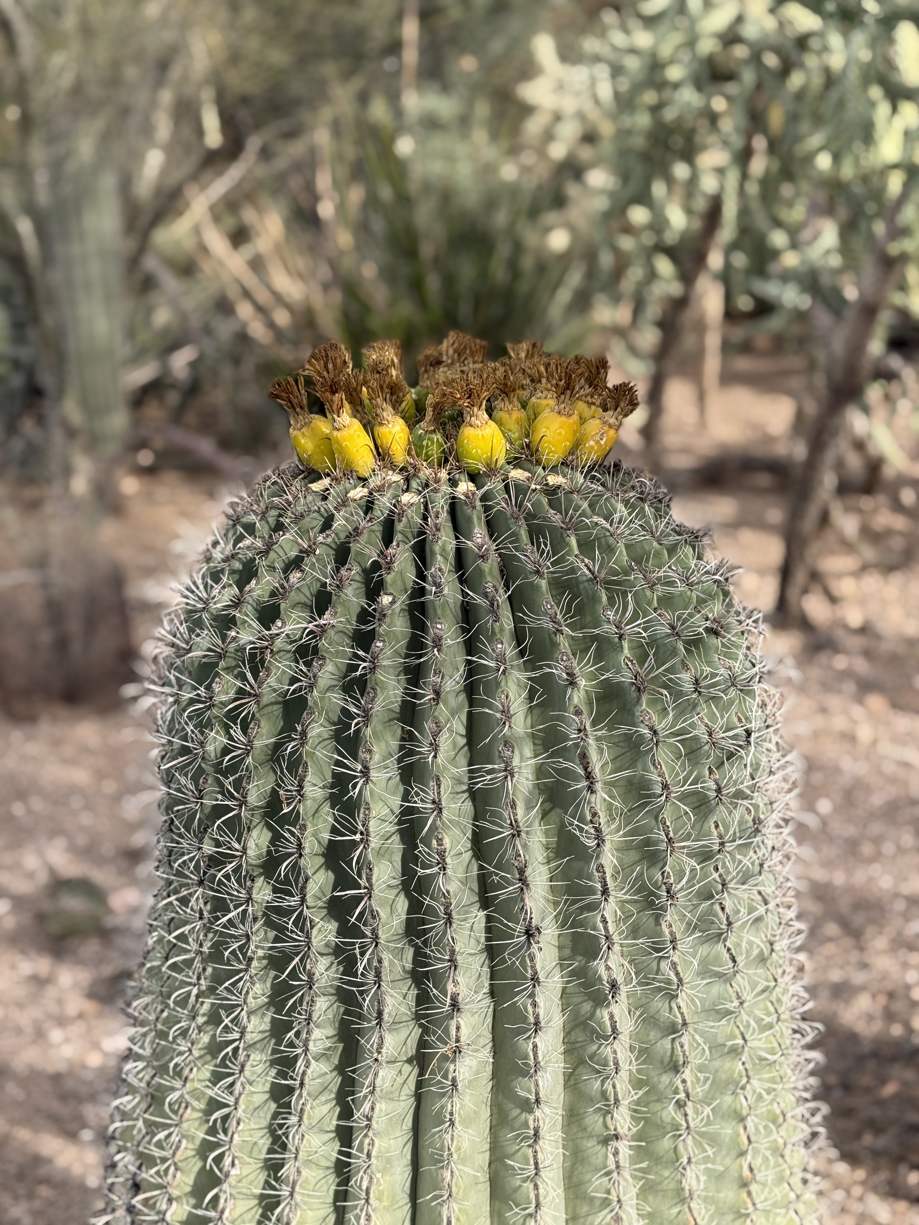 img.jpg?credential=yqXZFxpELC7KVnFOS48ylbz2pIh7yKj8&expires=1764514799&allow_ip=&allow_referer=&signature=nadRfnIzZ9s3LX%2B5MGUO5iobsrY%3D