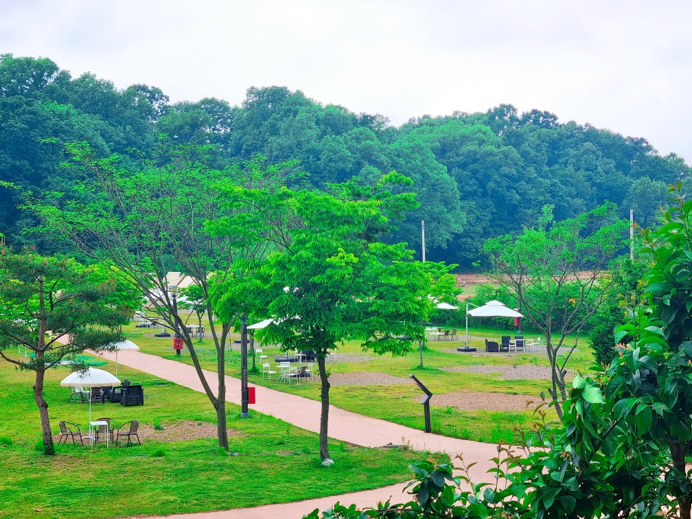 김포 가혜리카페: 또 가고 싶은 자연 속 브런치카페&amp;#44; 리뷰이벤트&amp;#44; 평화누리길