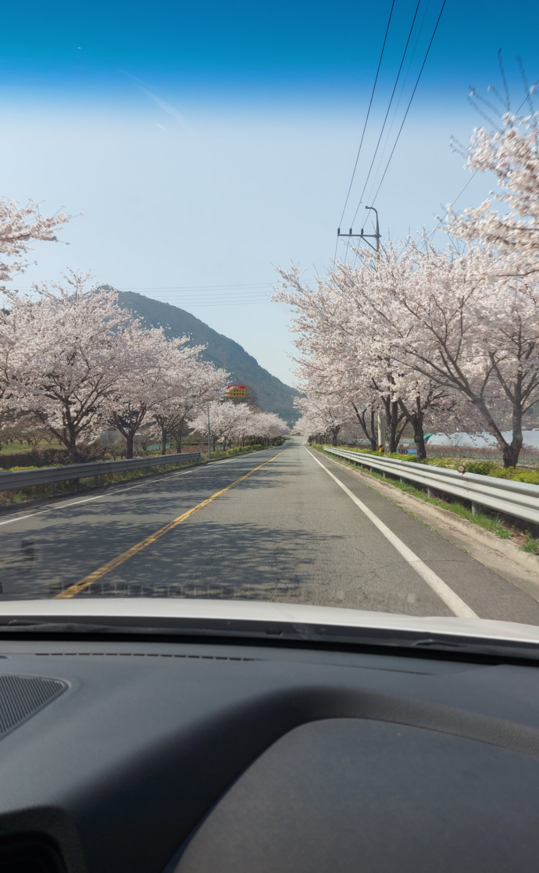 운전중 차량 사진