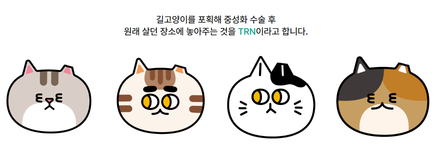 2024 궁디팡팡 켓페스타