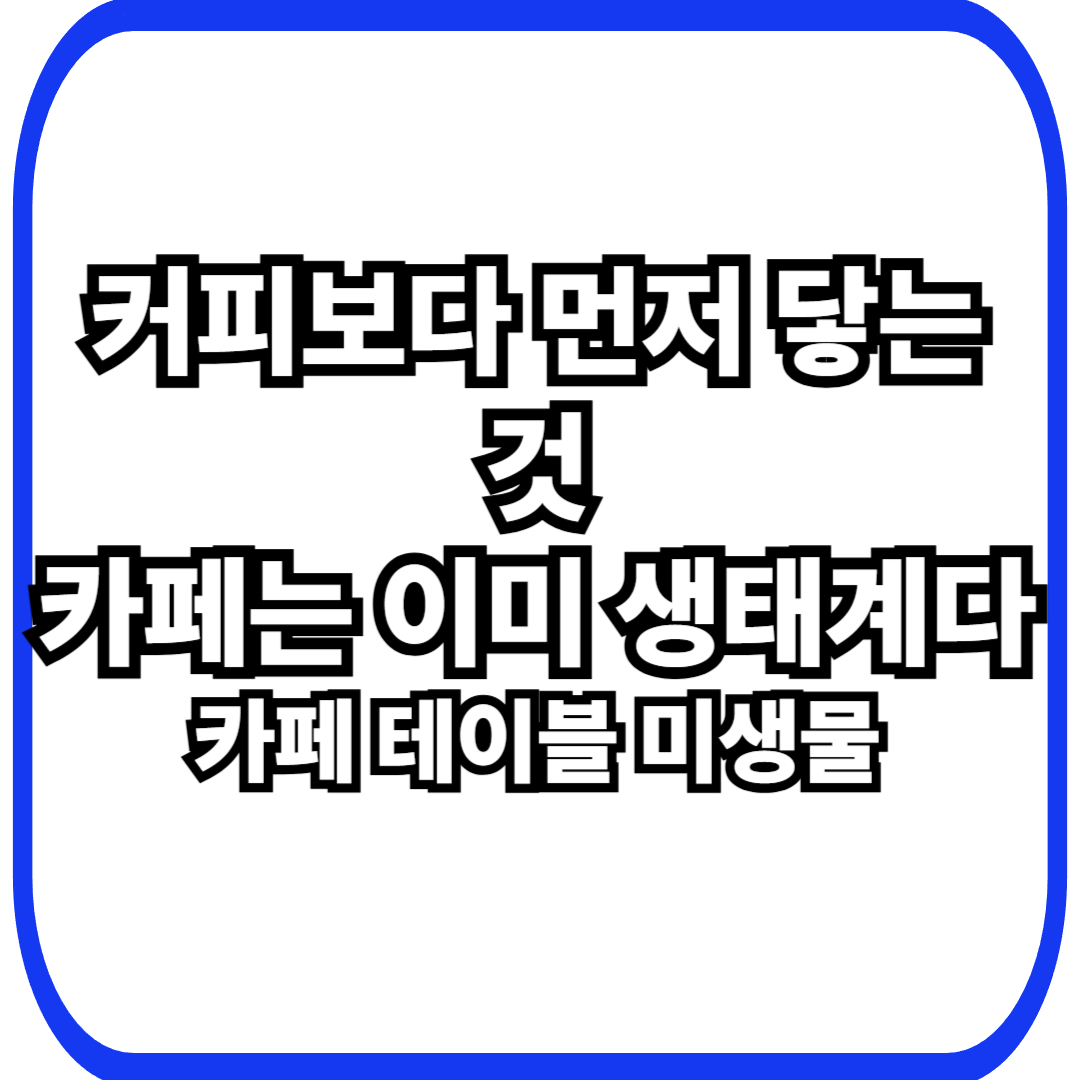 카페 테이블·메뉴판 미생물과 상업 공간 접촉면에서 확장된 도시 생태계