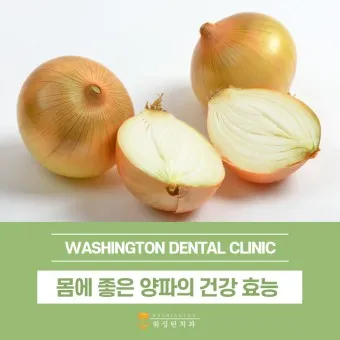 nv_양파 효능_19