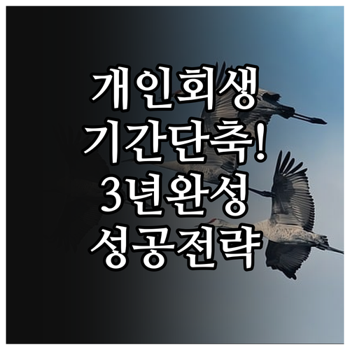 개인회생 조기 면책을 위한 변제기간 ..