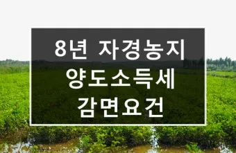 농지 양도소득세율 세율표_7