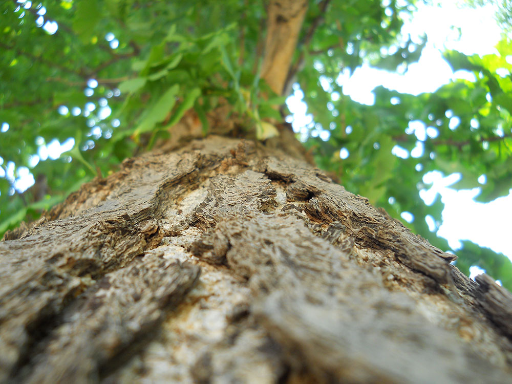 홍제동 고은산 단말마(斷末摩)