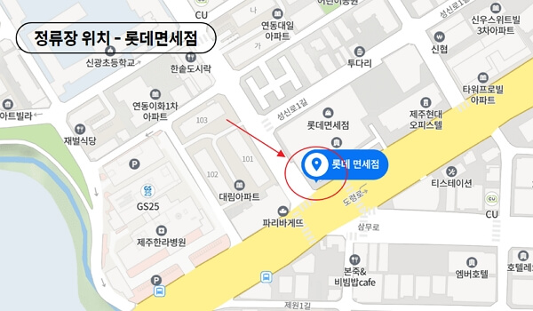 제주 반려동물 동반여행 구팔일 댕댕이 레이싱