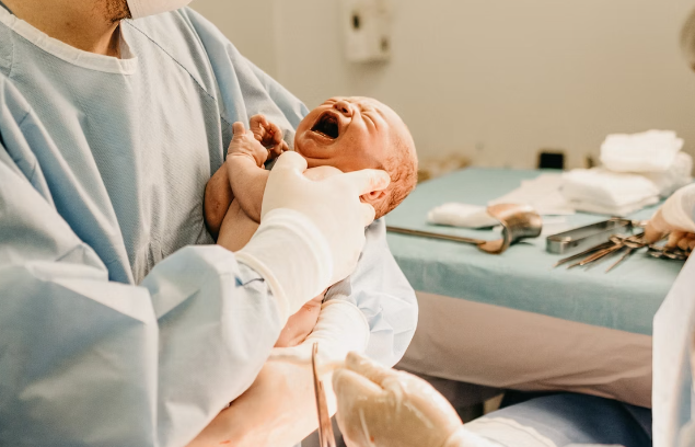 철분제 효능 : 출산