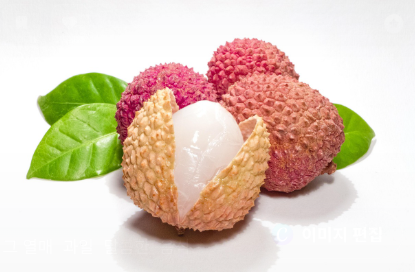 마늘 관련 사진