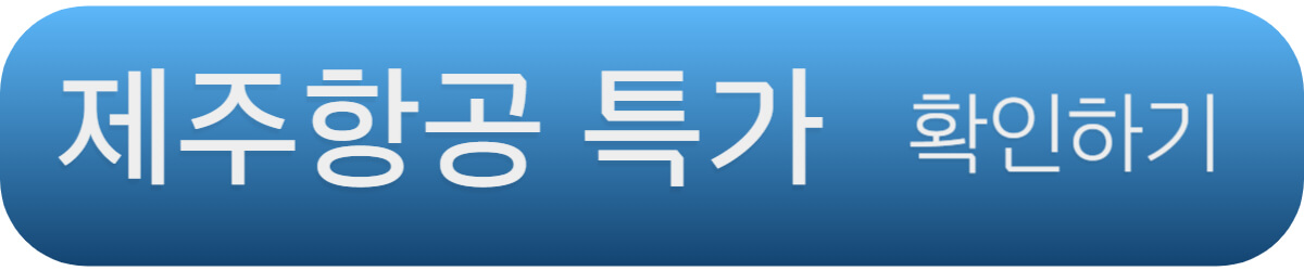 오키나와 항공권 제주항공