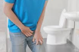 전립선비대증의 원인